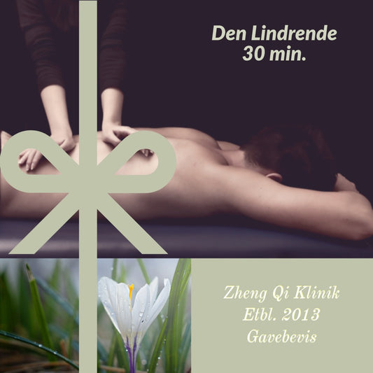 30 minutter lindrende - f.eks wellness eller alm. fysiurgisk massage