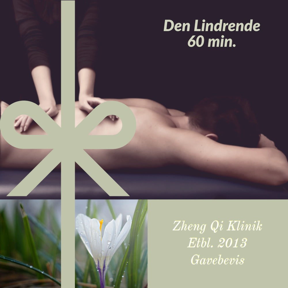 60 minutter lindrende - f.eks wellness eller alm. fysiurgisk massage